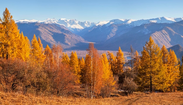 Malerischer Panoramablick auf das Bergtal im Herbst