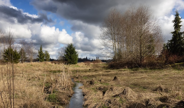 Malerischer Park mit Fluss und Bäumen in einer Stadt