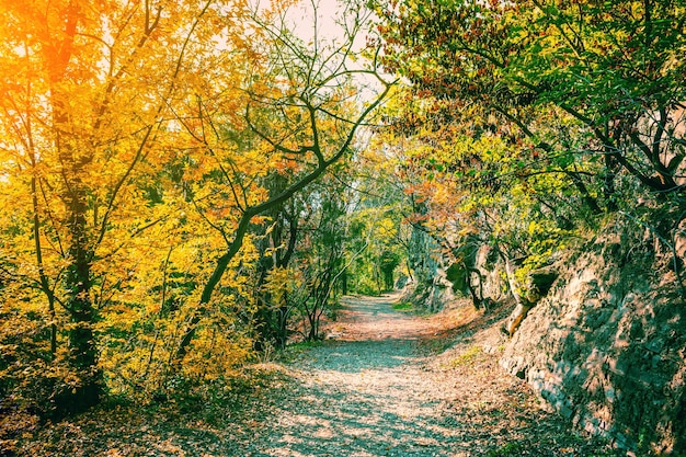 Malerischer Pfad im Botanischen Garten von Tiflis Georgien