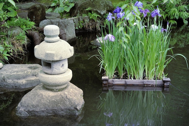 Malerischer ruhiger Zen-Teich mit Wasseriris-Blumenbeet und Steinlaterne