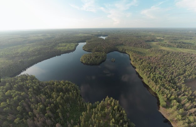 Malerischer See in der Waldluftlandschaft