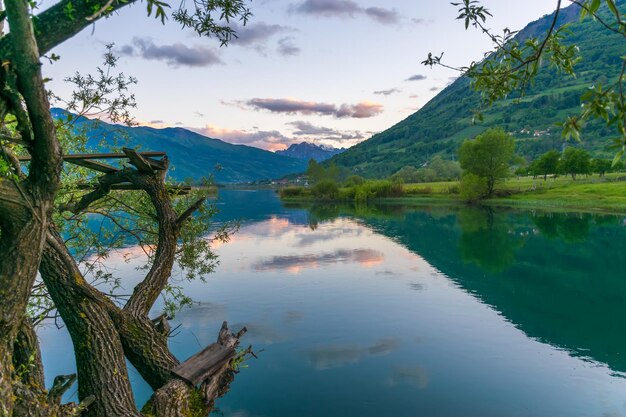 Malerischer See Plav in den Bergen von Montenegro