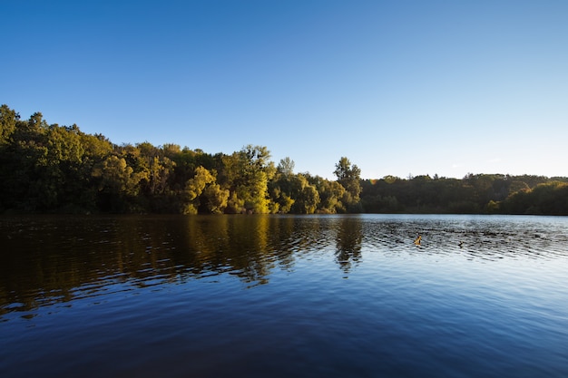 Malerischer Wald und der Fluss