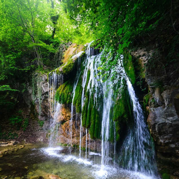 Malerischer Wasserfall in einem üppig grünen Sommerwald, quadratische Proportionen