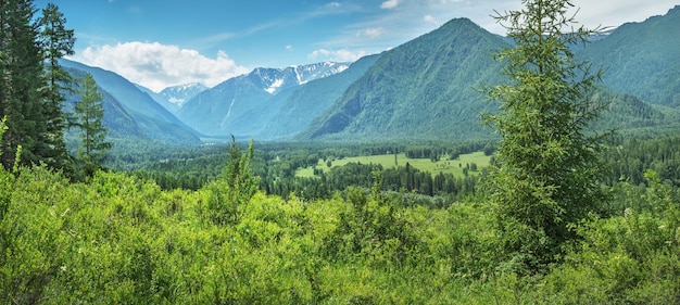 Malerisches Bergtal an einem sonnigen Sommertag grün von Wäldern