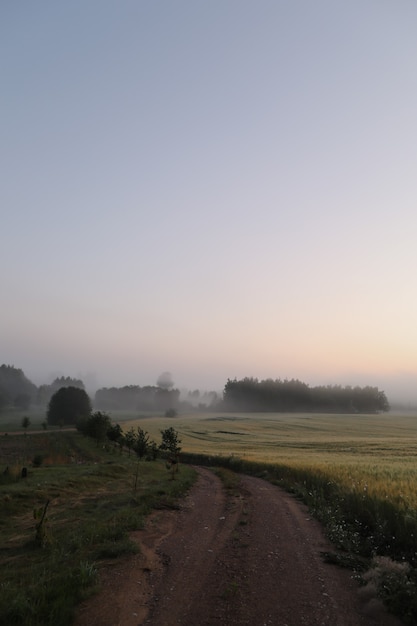 Malerisches Feld und malerische Landschaft bei Sonnenaufgang im Sommer