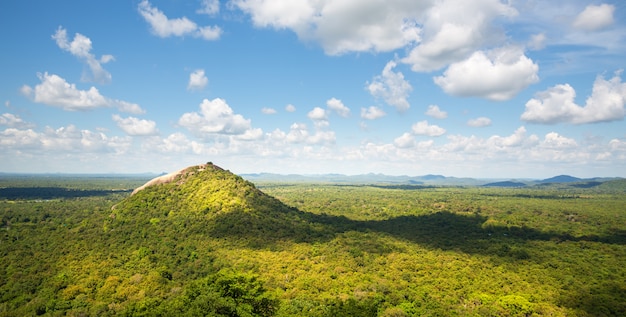 Malerisches grünes Tal und Teeberge, Ceylon. Landschaft von Sri Lanka