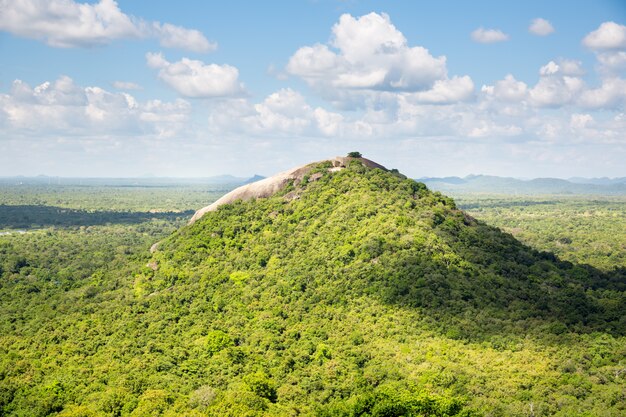 Malerisches grünes Tal und Teeberge, Ceylon