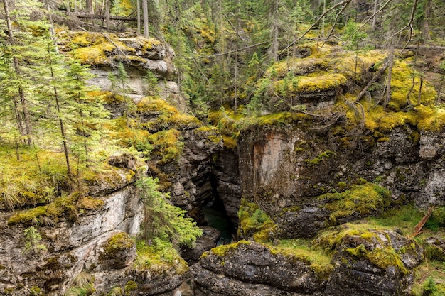 Maligne Canyon Falls, Parque Nacional de Jasper. lindo desfiladeiro, muitas cores.