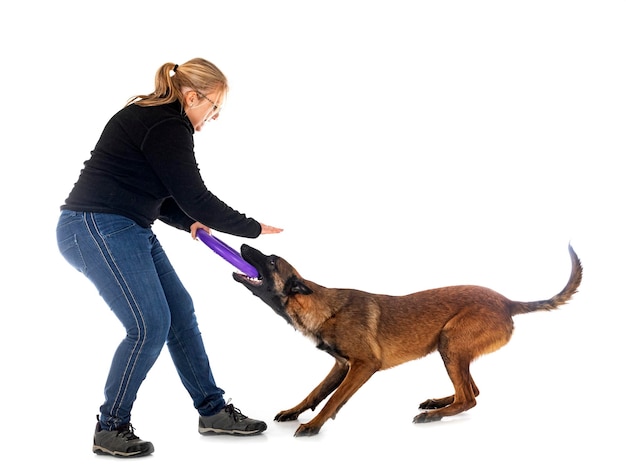 Malinois e mulher em estúdio