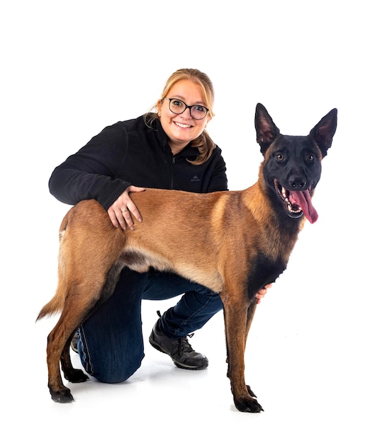 Malinois und Frau im Studio