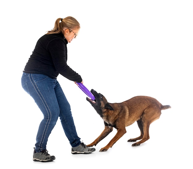 Malinois und Frau im Studio