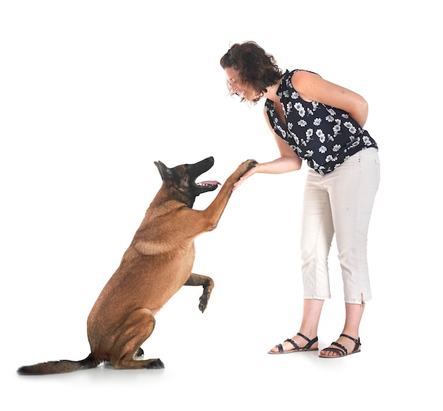 Malinois und Frau im Studio