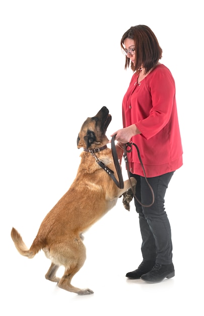 Malinois und Frau