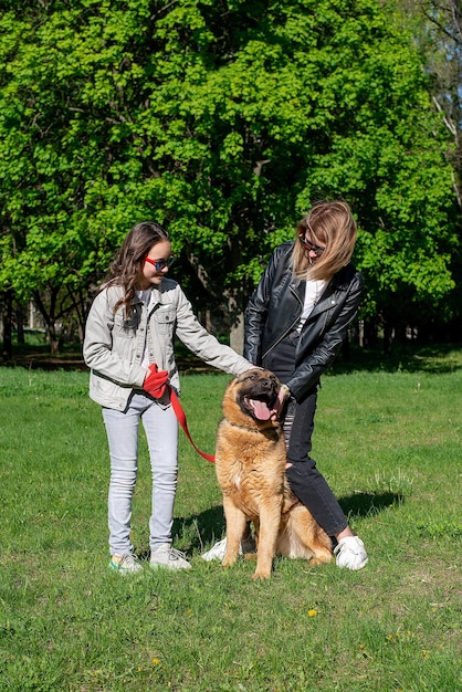 Mamá e hija caminan en el parque con un perro de raza pastor alemán sol de verano