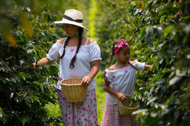 Mamá e hija recogiendo granos de café en una plantación de café