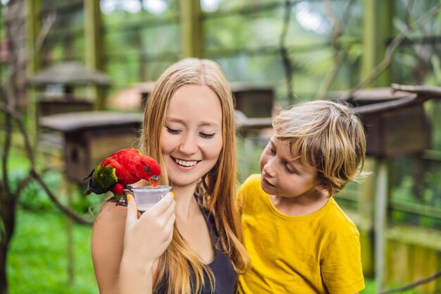 Mamá e hijo alimentan al loro en el parque Pasar tiempo con el concepto de niños