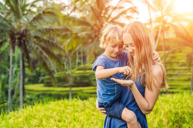 Mamá e hijo en el campo de arroz al fondo de las terrazas de arroz, Ubud, Bali, Indonesia. Concepto de viajar con niños. Enseñar a los niños en la práctica. con la luz del sol