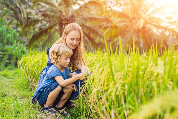 Mamá e hijo en el campo de arroz al fondo de las terrazas de arroz, Ubud, Bali, Indonesia. Concepto de viajar con niños. Enseñar a los niños en la práctica. con la luz del sol