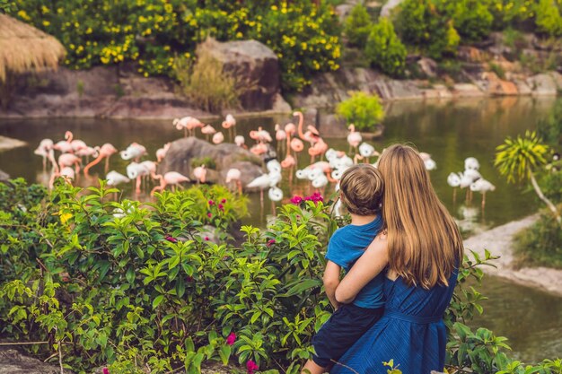 Mamá e hijo están mirando la bandada de pájaros de flamencos rosados en un estanque