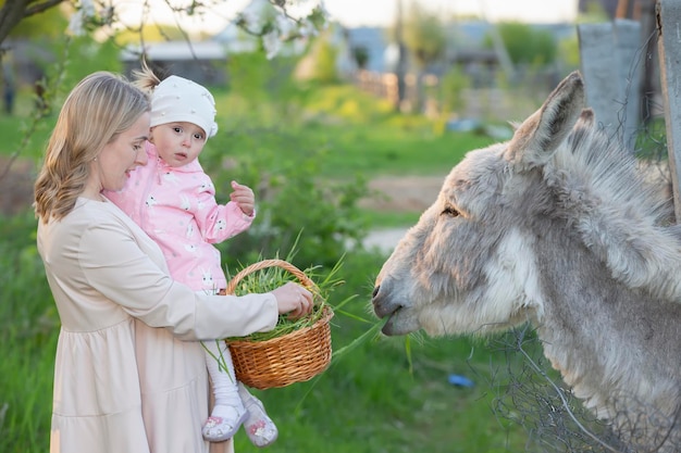 Mamá con una hija pequeña alimenta a un burro Una mujer con un niño en una granja