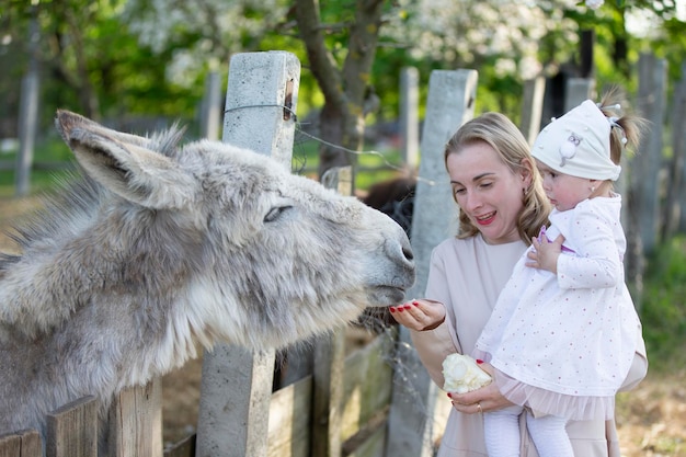 Mamá con una hija pequeña alimenta a un burro Una mujer con un niño en una granja