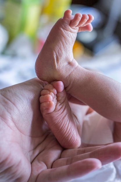 Foto mamá mantiene los pies del bebé con los tacones apretados juntos dedos apretados