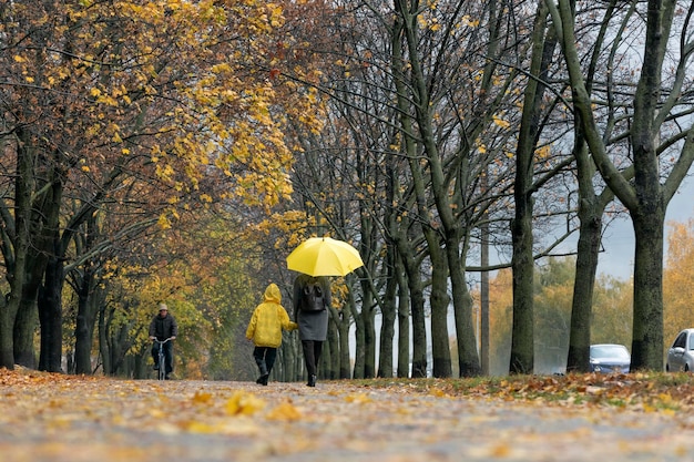 Mamá y niño con impermeable caminan bajo un paraguas amarillo en el parque de otoño Vista posterior