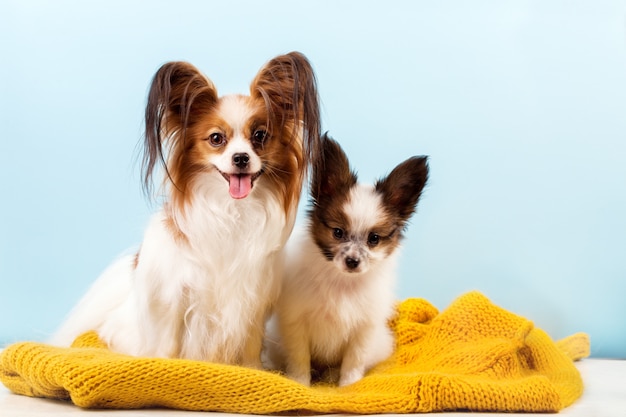 Mamá con su perrito