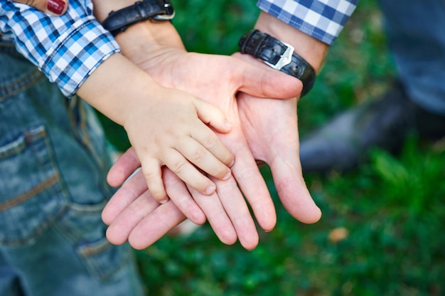 Mama und Papa halten Babys Hand