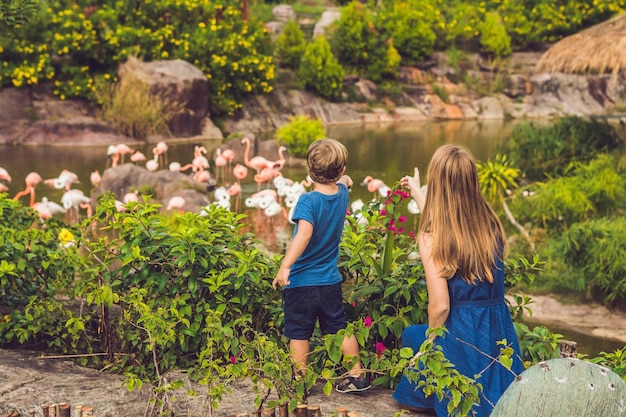 Mama und Sohn betrachten den Vogelschwarm rosa Flamingos auf einem Teich