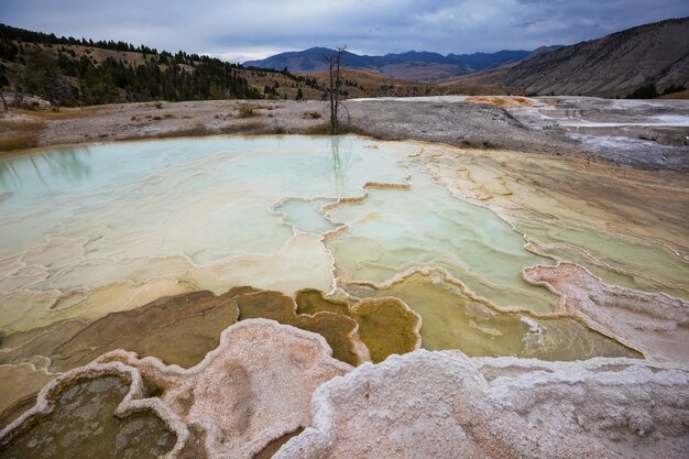 Mammoth Hot Spring en la entrada norte del Parque Nacional Yellowstone, Wyoming, EE.