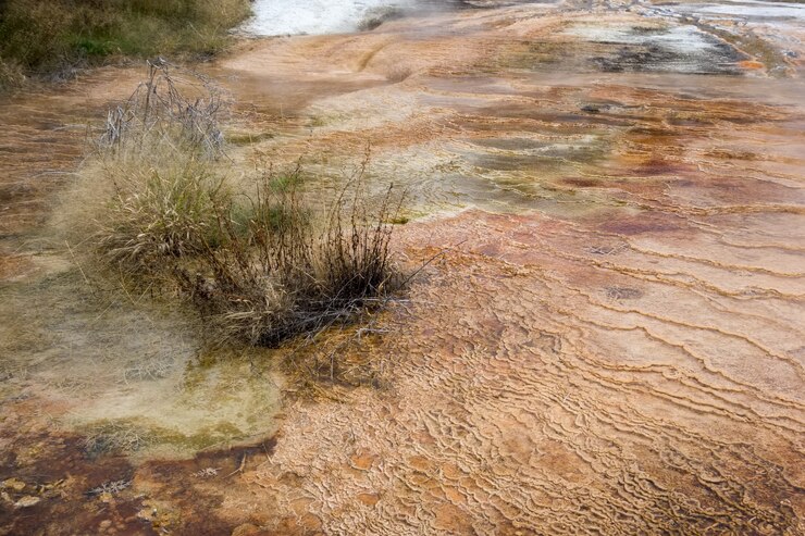 Foto mammoth hot springs em wyoming
