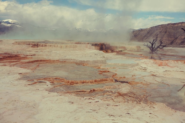 Mammoth Hot Springs im Yellowstone Nationalpark, USA