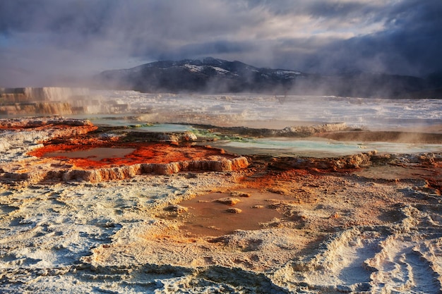 Mammoth Hot Springs en el Parque Nacional Yellowstone, EE. UU.