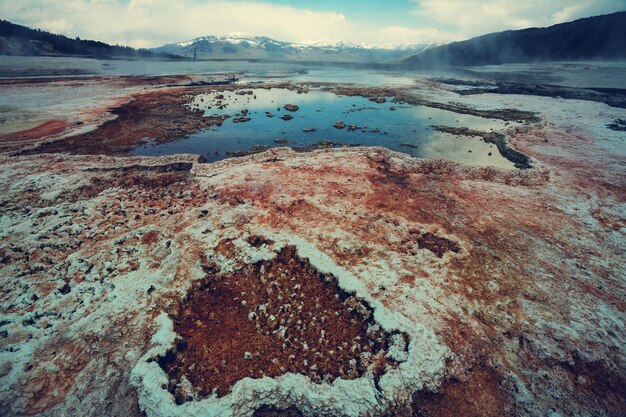 Mammoth Hot Springs en el Parque Nacional Yellowstone, EE. UU.