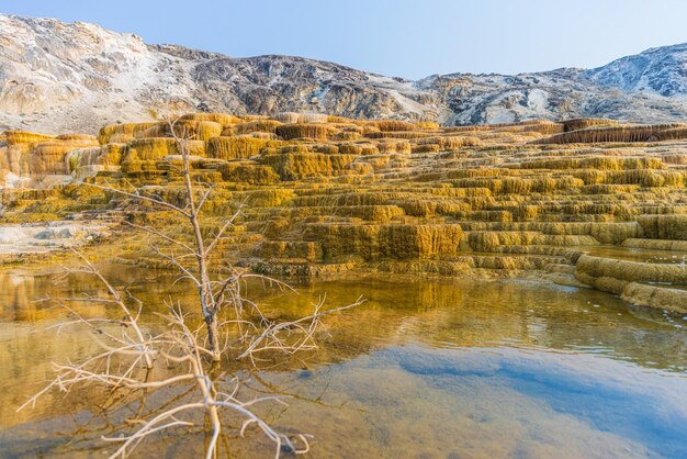 Mammoth Hot Springs, Parque Nacional de Yellowstone