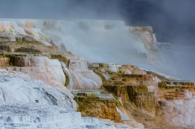 Mammoth hot springs