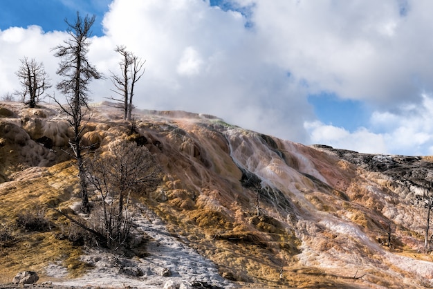 Mammoth hot springs