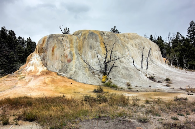 Mammoth Hot Springs