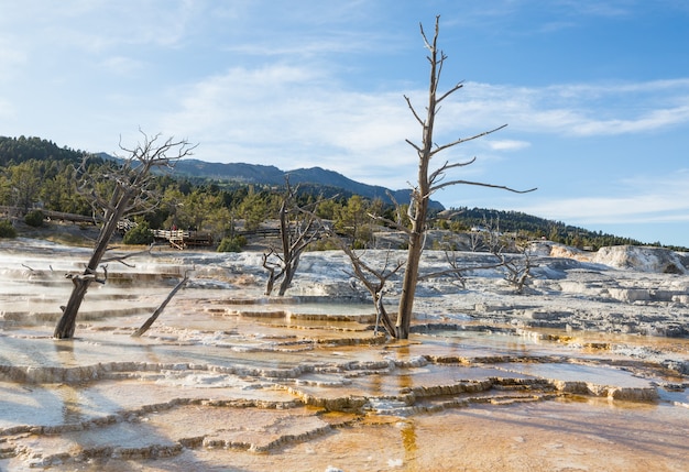 Mammutheiße Quellen in Yellowstone NP, USA