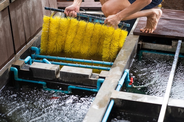 Man cleaning fish sistema de filtro de lago para peixes saudáveis, fornecendo um meio de remover substâncias nocivas e melhorar a qualidade geral da água.