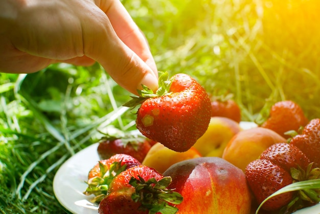 Man nimmt Erdbeeren und Pfirsiche von einem Teller auf dem grünen Gras Köstliche und frische Sommerfrüchte Gesunde vegetarische Kost mit Vitaminen