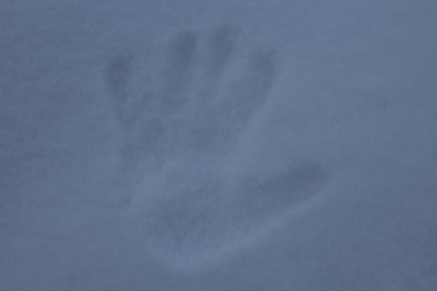 Man39s handprint en la nieve en invierno