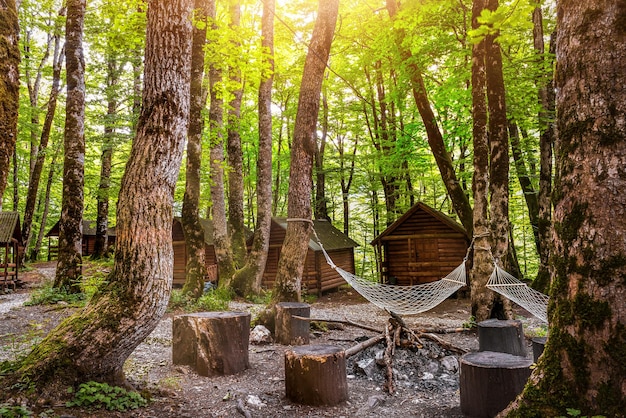 Mañana en acampar en el lago Biogradsko, Montenegro