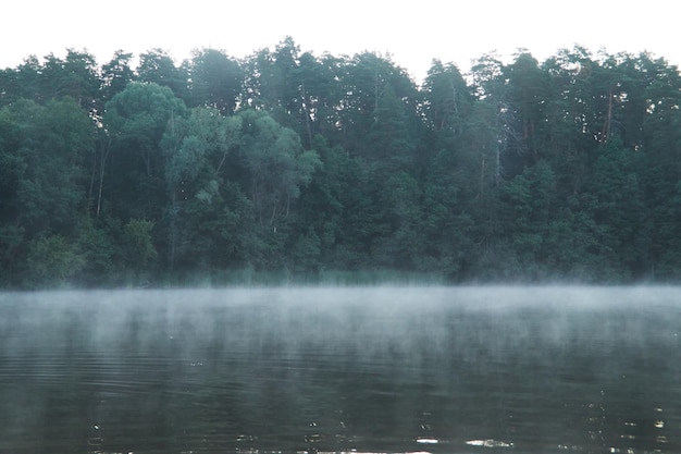 Mañana brumosa en el lago