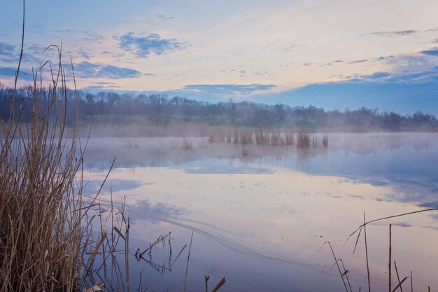 Mañana brumosa en el lago