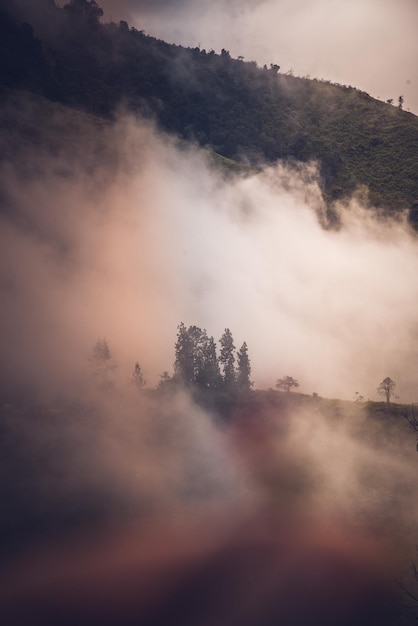 mañana brumosa en las montañas colombianas