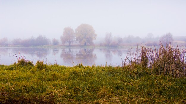 Mañana brumosa en la orilla del río. Los árboles se reflejan en el río