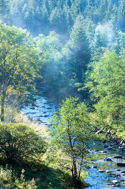 Mañana brumosa paisaje otoñal con río de montaña